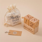 Natural Wooden Baby Milestone Blocks & Floral Disc | Newborn Photo Props | Monthly Milestone Markers