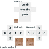 Natural Wooden Baby Milestone Blocks & Floral Disc | Newborn Photo Props | Monthly Milestone Markers